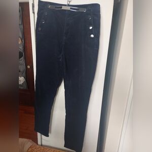 LOFT Navy Velvet Pants